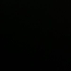 Meet your Posher, Martinez